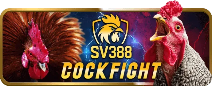 Hỗ trợ khách hàng 997bet nhà cái